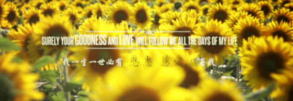 psalm23 6f